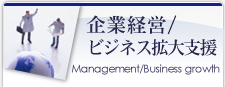 企業経営/ビジネス拡大支援