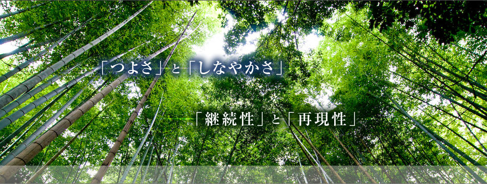 「つよさ」と「柔軟性」　「継続性」と「再現性」